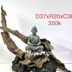 Layout tượng ngộ không