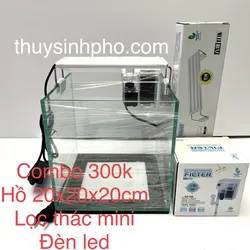 Combo hồ cubic 20