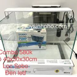 Combo hồ 4.3.3