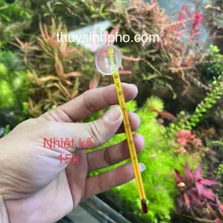 Nhiệt kế dán hồ thuỷ sinh
