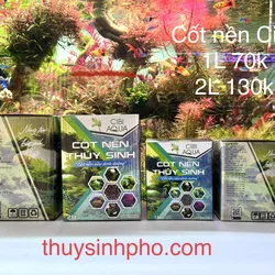 Cốt nền cibi