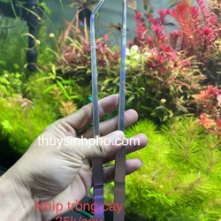 Nhíp Trồng Cây Mỏ Vịt