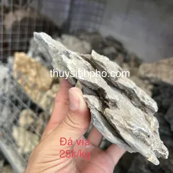 Đá vỉa