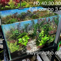 Hồ 40.30.30 layout rừng