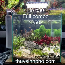 Hồ cubic 30 hà lan