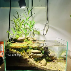 Hồ biotop 40.20.25