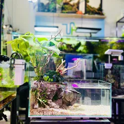 Hồ bán cạn 40.20.25