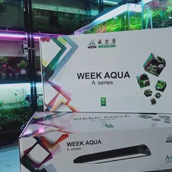 Đèn Week A430 