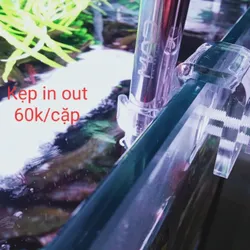 Kẹp In Out Mica