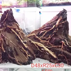 Layout 5.3.3 San Đá