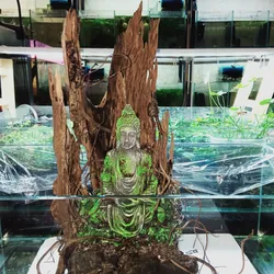 Layout Phật Ngồi