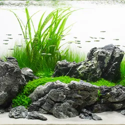 Ngưu mao chiên cao