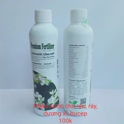Phân nước rêu ráy dương xỉ bucep