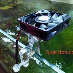 Quạt Đơn 6cm