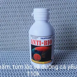 Thuốc Anti Bio Trị Nấm Cá