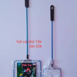 Vợt Cá Nhỏ