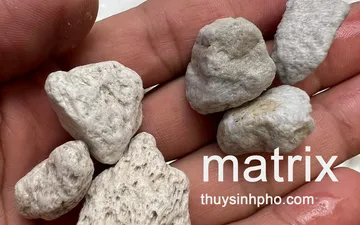 Cách phân biệt matrix thật và giả - lông vũ 