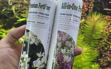 Phân nước thủy sinh là gì ?