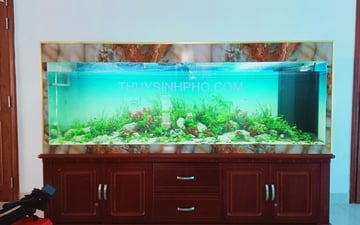 Hồ Thủy Sinh Phòng Khách 03