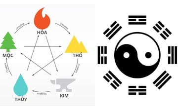 Các Yếu Tố Lưu Ý Về Phong Thủy Khi Làm Hồ Cá Thủy Sinh
