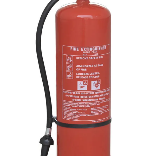Bình Chữa Cháy Bột Foam Renan 9 Lít MFZ9