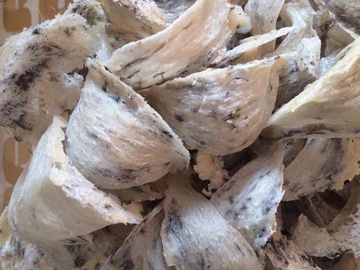 cách làm sạch lông yến thô cách làm sạch lông yến thô