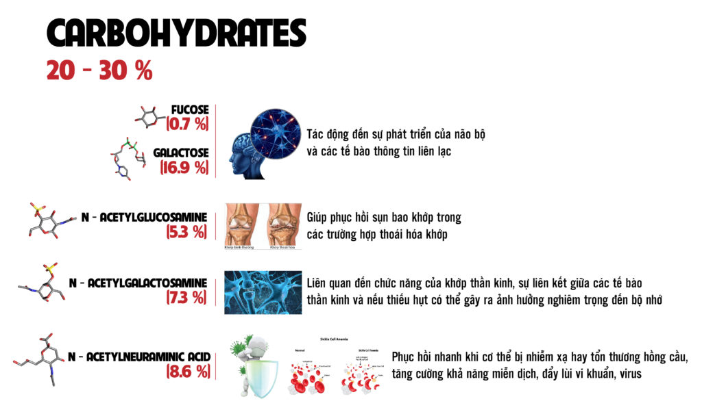 carbohydrat trong tổ yến carbohydrat trong tổ yến