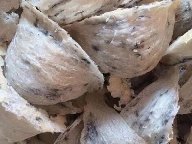 NÊN MUA TỔ YẾN THÔ HAY TỔ YẾN TINH CHẾ