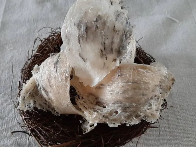 1 LẠNG YẾN BAO NHIÊU TIỀN? 1 LẠNG YẾN ĐƯỢC MẤY TỔ?