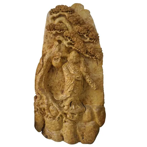 ĐẠT MA DƯỚI GỐC TÙNG