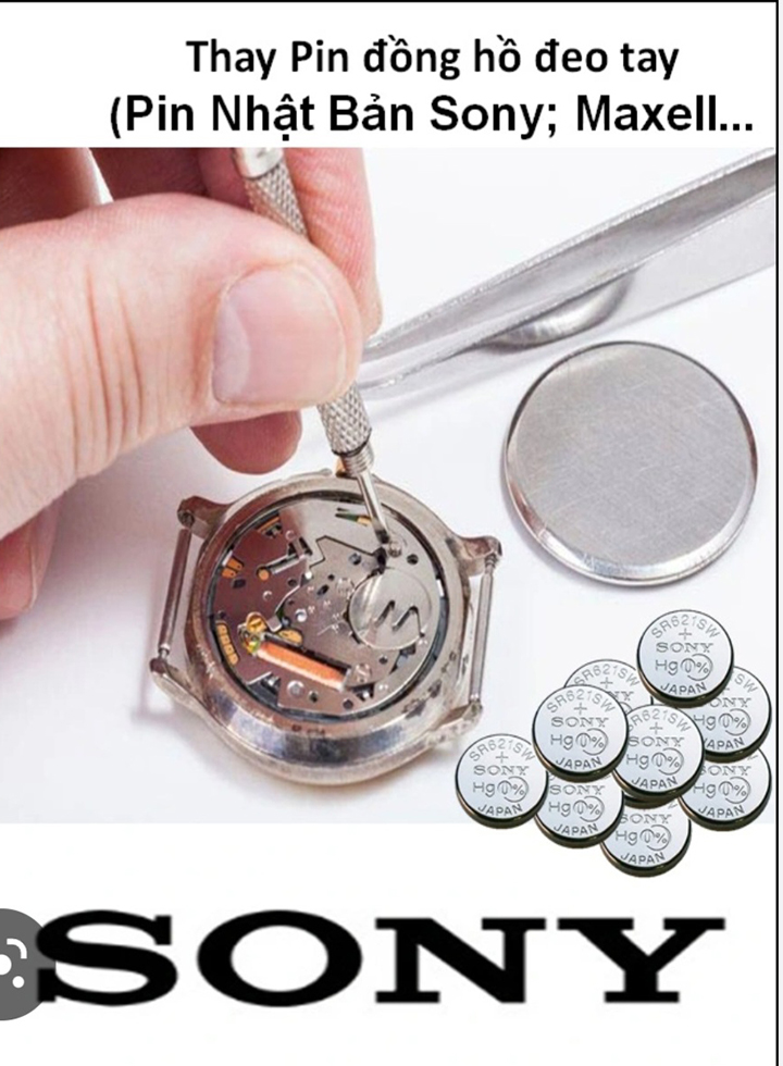 PIN ĐỒNG HỒ RADO (JAPAN) Giá Rẻ Sài Lâu