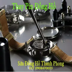 PIN ĐỒNG HỒ OLEVS