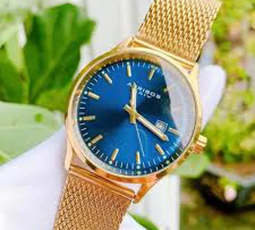 BẢO HÀNH ĐỒNG HỒ AKRIBOS