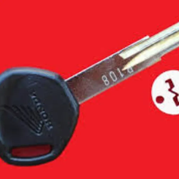 PIN REMOTE XE WINNER