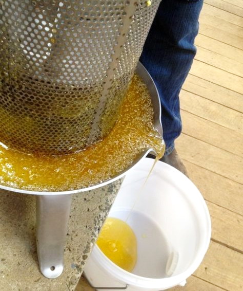 Mật ong nguyên chất tốt cho sức khoẻ Mật ong nguyên chất tốt cho sức khoẻ