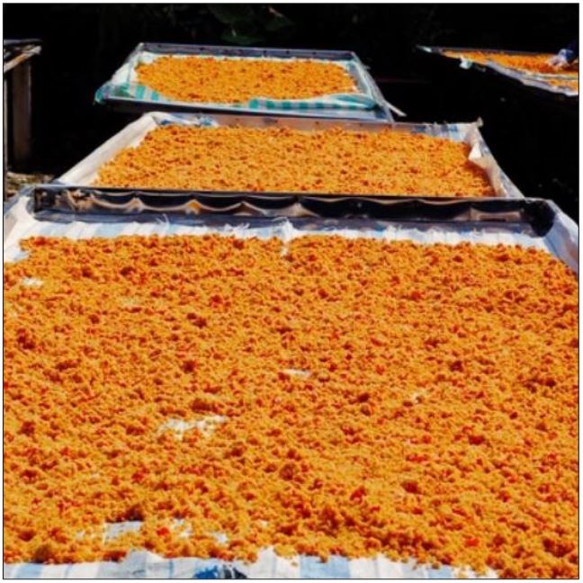 Muối tôm Tây Ninh loại ngon chấm trái cây tuyệt hảo sỉ và lẻ toàn quốc Muối tôm Tây Ninh loại ngon chấm trái cây tuyệt hảo sỉ và lẻ toàn quốc