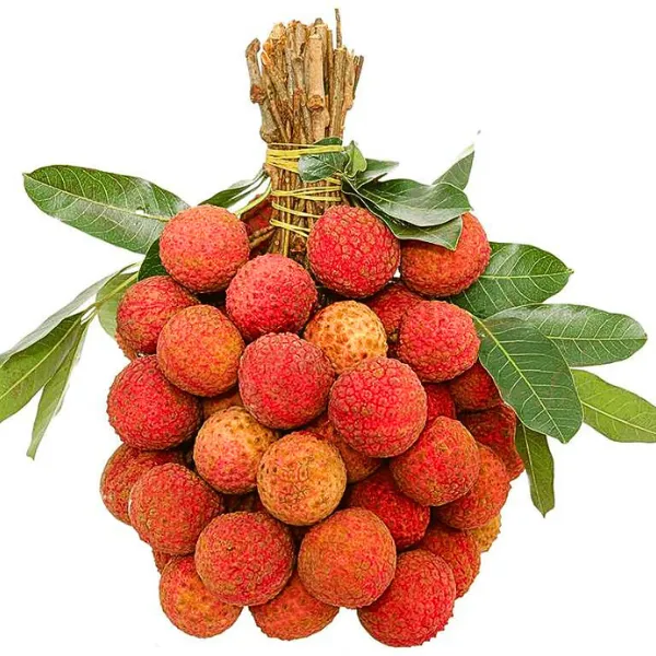 Vải Thiều Thanh Hà
