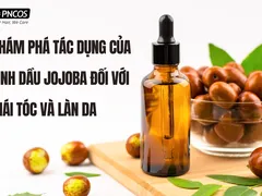 KHÁM PHÁ TÁC DỤNG CỦA DẦU JOJOBA VỚI MÁI TÓC VÀ LÀN DA