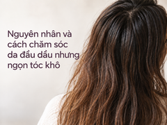 Nguyên nhân và cách chăm sóc da đầu dầu nhưng ngọn tóc khô