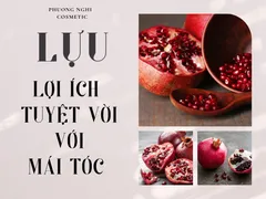 LỢI ÍCH TUYỆT VỜI LỰU ĐEM LẠI CHO MÁI TÓC