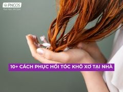 10+ Cách phục hồi tóc khô xơ tại nhà