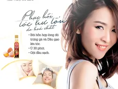 Bí Quyết Dưỡng Tóc Sau Sinh Bằng Trứng và Dầu Gạo