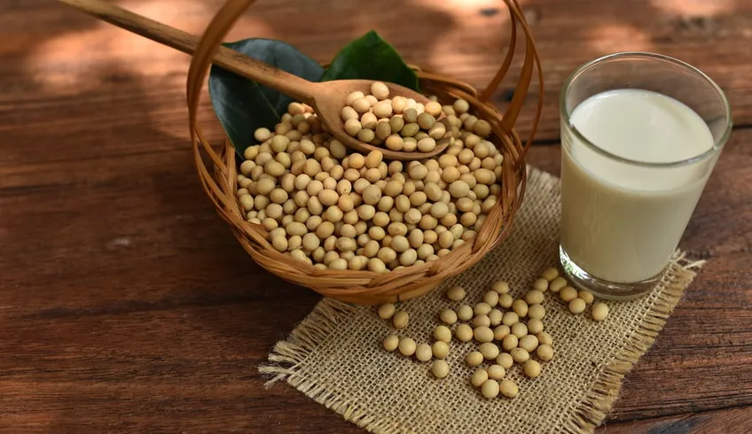 Bà bầu uống sữa đậu nành được không
