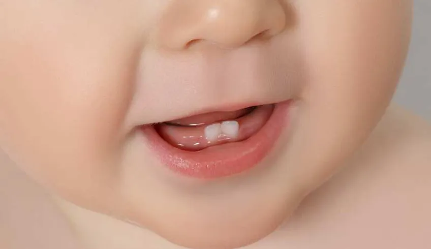 Bé mọc răng bỏ ăn bao lâu?
