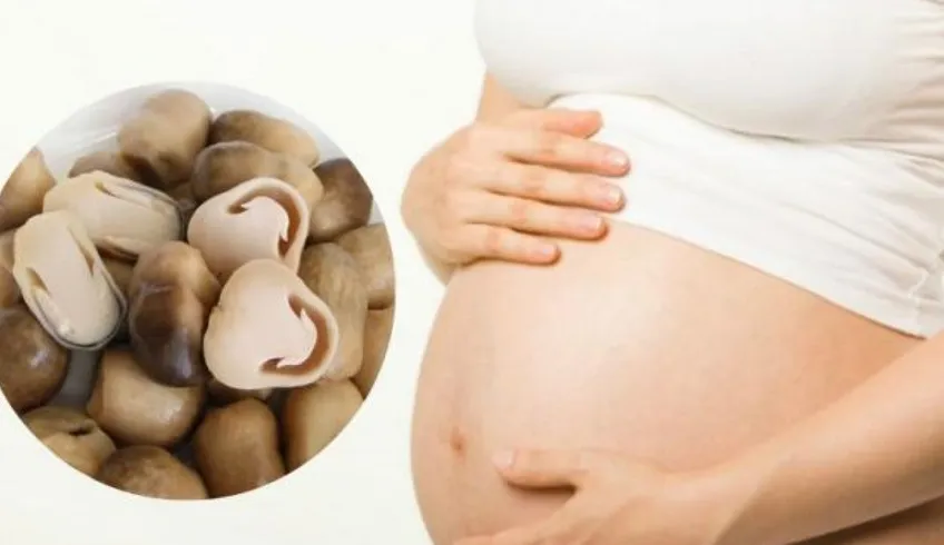 Có nên ăn nấm khi mang thai?