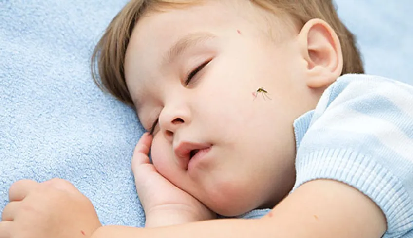Nên làm gì để chống muỗi cho bé?