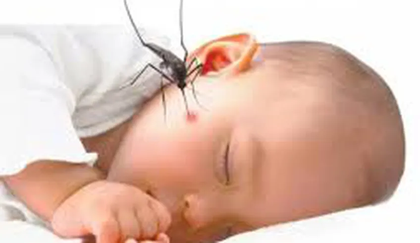 Trẻ bị sốt cao kéo dài...