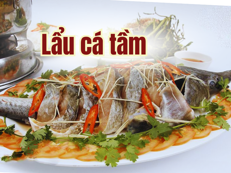 cach-lam-lau-ca-tam-ngon-tai-nha