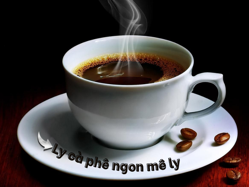 may-xay-hat-ca-phe-cam-tay-mini-gia-dinh