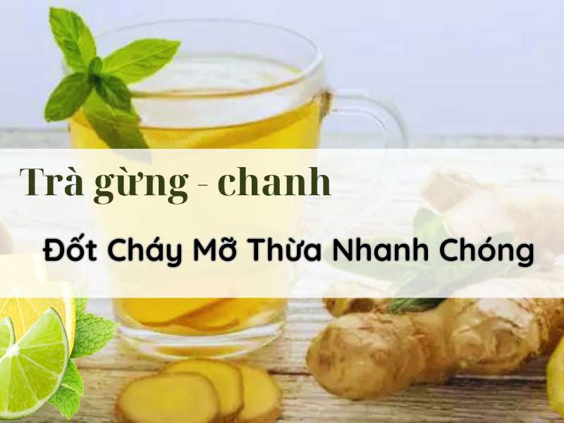 Tra-gung-chanh-giam-can